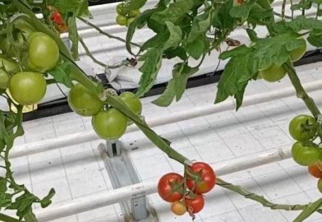 Screenshot_۲۰۲۴-۰۵-۲۹-۱۴-۱۵-۲۱-۶۴۵_ir.eitaa_.messenger